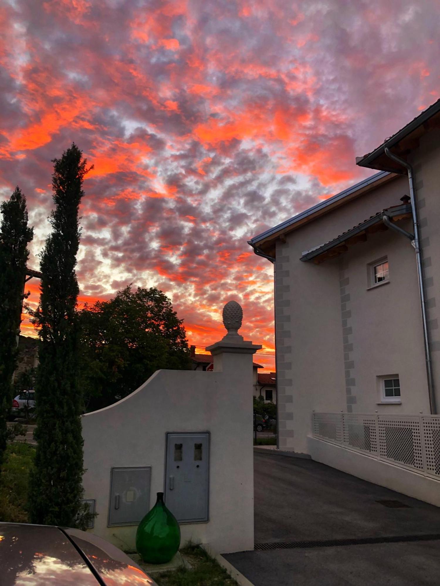 Peterc Vineyard Estate Bed & Breakfast Kojsko Luaran gambar