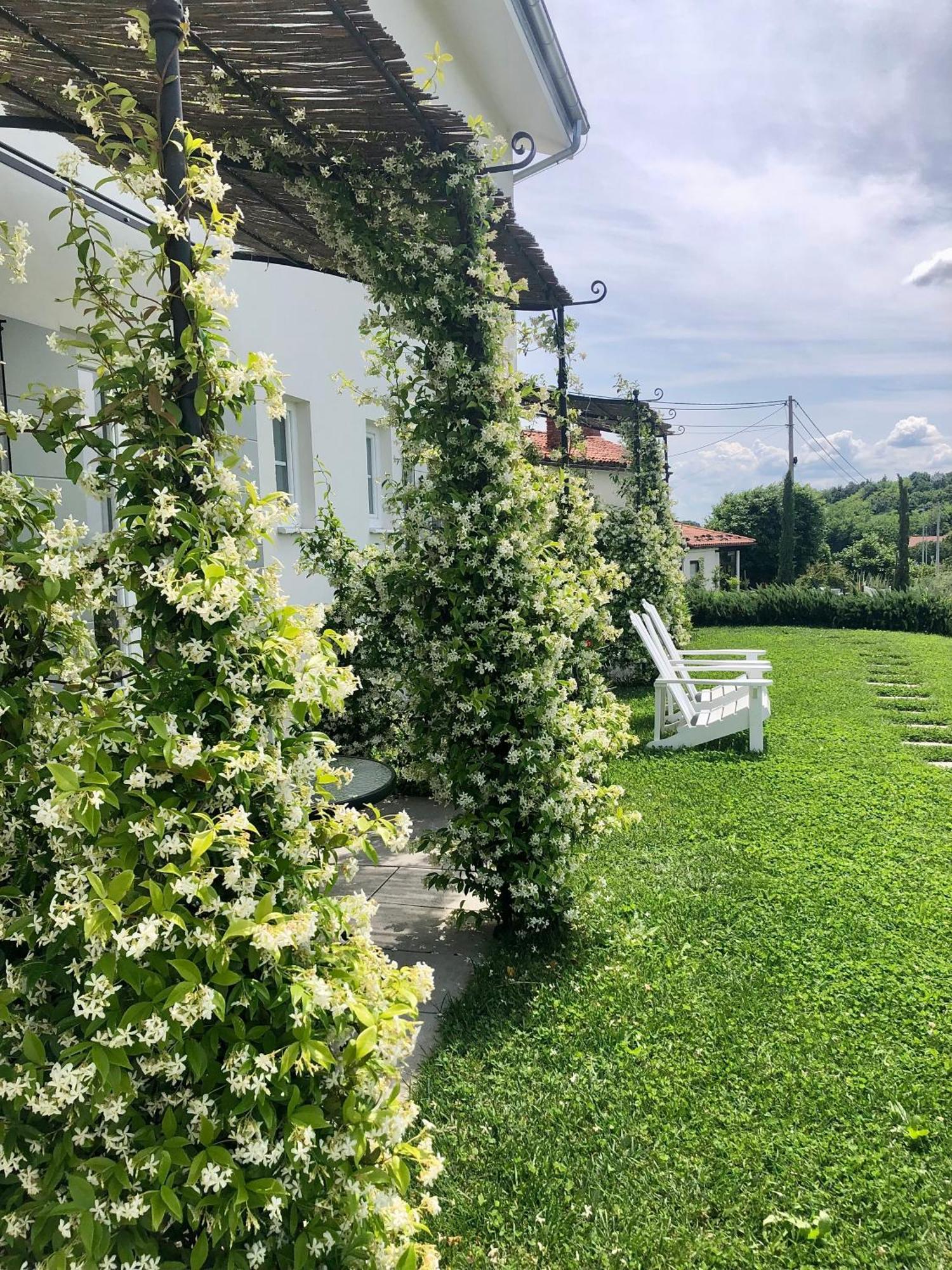 Peterc Vineyard Estate Bed & Breakfast Kojsko Luaran gambar